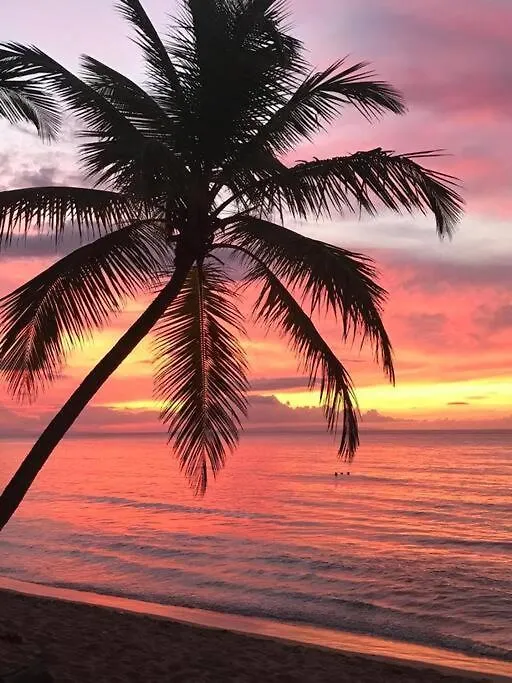 3 Bedroom Beach Front Apt At Playa Bonita Aquamarine Building #202 Las Terrenas 0*,